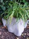 dsc08888.JPG