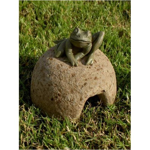 kroete01.jpg