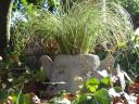 dsc08942.JPG