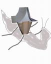schnecke.JPG