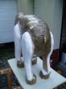elefant280810_2.jpg