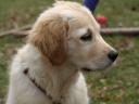 sally_feb_2010_003.jpg