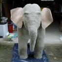 elefant_sep13.jpg
