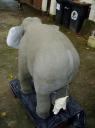 elefant_sep14.jpg