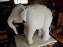 elefant_weiss5.jpg