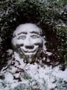 wasserspeierschnee1.jpg