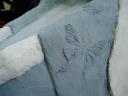 detail2.jpg